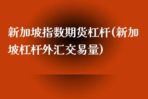 新加坡指数期货杠杆(新加坡杠杆外汇交易量)_https://www.boyangwujin.com_白银期货_第1张