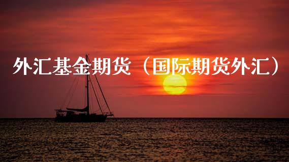 外汇基金期货（国际期货外汇）