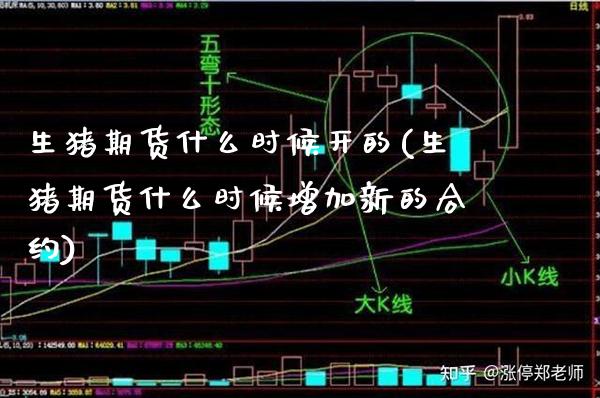 生猪期货什么时候开的(生猪期货什么时候增加新的合约)_https://www.boyangwujin.com_期货直播间_第1张