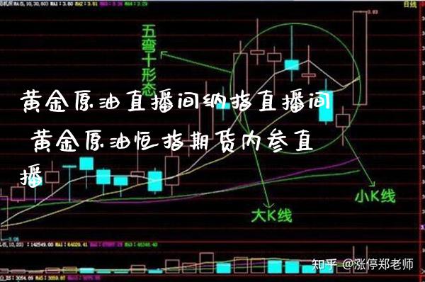 黄金原油直播间纳指直播间 黄金原油恒指期货内参直播_https://www.boyangwujin.com_期货直播间_第1张