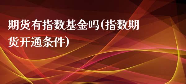 期货有指数基金吗(指数期货开通条件)_https://www.boyangwujin.com_恒生指数_第1张