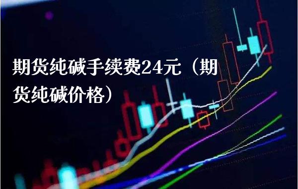 期货纯碱手续费24元（期货纯碱价格）_https://www.boyangwujin.com_道指期货_第1张