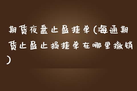期货夜盘止盈挂单(海通期货止盈止损挂单在哪里撤销)_https://www.boyangwujin.com_期货科普_第1张