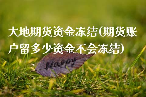 大地期货资金冻结(期货账户留多少资金不会冻结)_https://www.boyangwujin.com_恒生指数_第1张