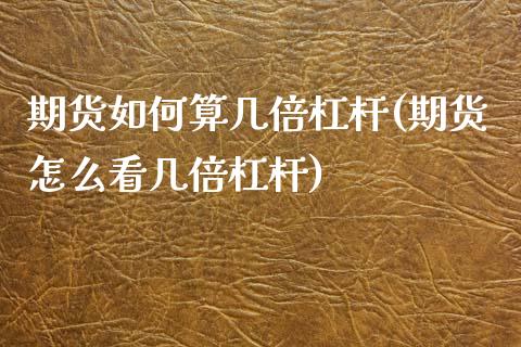 期货如何算几倍杠杆(期货怎么看几倍杠杆)_https://www.boyangwujin.com_期货直播间_第1张