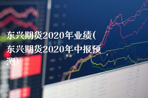 东兴期货2020年业绩(东兴期货2020年中报预测)
