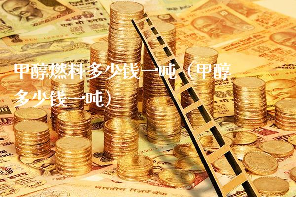 甲醇燃料多少钱一吨（甲醇多少钱一吨）_https://www.boyangwujin.com_纳指期货_第1张