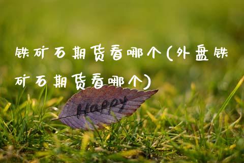 铁矿石期货看哪个(外盘铁矿石期货看哪个)_https://www.boyangwujin.com_原油期货_第1张