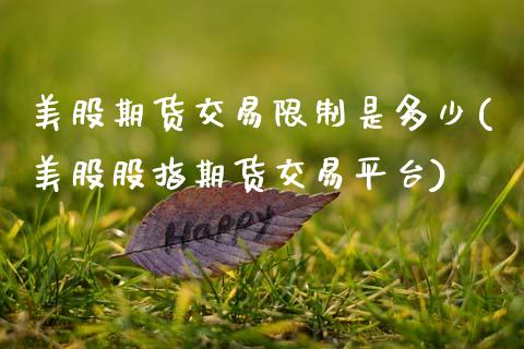 美股期货交易限制是多少(美股股指期货交易平台)_https://www.boyangwujin.com_期货直播间_第1张