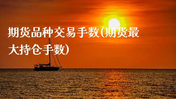 期货品种交易手数(期货最大持仓手数)