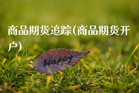 商品期货追踪(商品期货开户)_https://www.boyangwujin.com_黄金期货_第1张