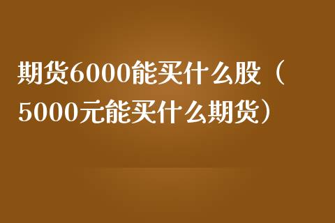 期货6000能买什么股（5000元能买什么期货）