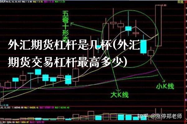 外汇期货杠杆是几杯(外汇期货交易杠杆最高多少)_https://www.boyangwujin.com_期货直播间_第1张