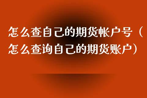 怎么查自己的期货帐户号（怎么查询自己的期货账户）