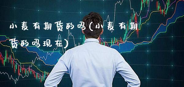 小麦有期货的吗(小麦有期货的吗现在)_https://www.boyangwujin.com_黄金期货_第1张