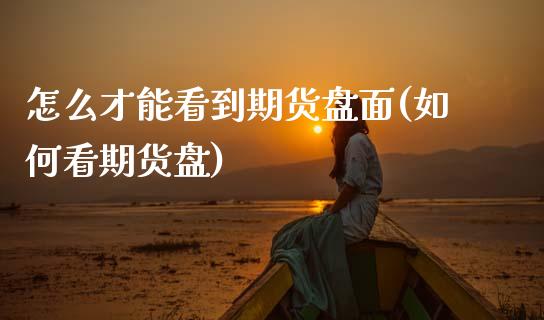 怎么才能看到期货盘面(如何看期货盘)_https://www.boyangwujin.com_期货直播间_第1张