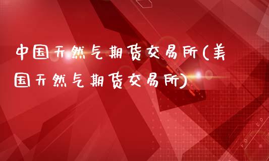 中国天然气期货交易所(美国天然气期货交易所)_https://www.boyangwujin.com_期货直播间_第1张