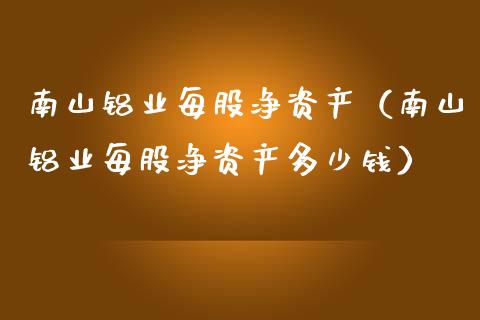 南山铝业每股净资产（南山铝业每股净资产多少钱）