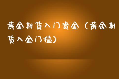 黄金期货入门资金（黄金期货入金门槛）