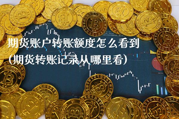 期货账户转账额度怎么看到(期货转账记录从哪里看)_https://www.boyangwujin.com_期货科普_第1张