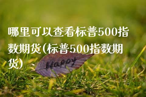 哪里可以查看标普500指数期货(标普500指数期货)_https://www.boyangwujin.com_纳指期货_第1张