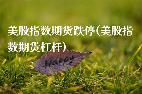美股指数期货跌停(美股指数期货杠杆)