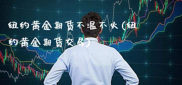 纽约黄金期货不温不火(纽约黄金期货交易)