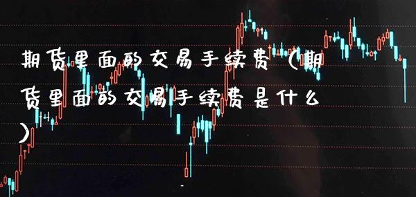 期货里面的交易手续费（期货里面的交易手续费是什么）