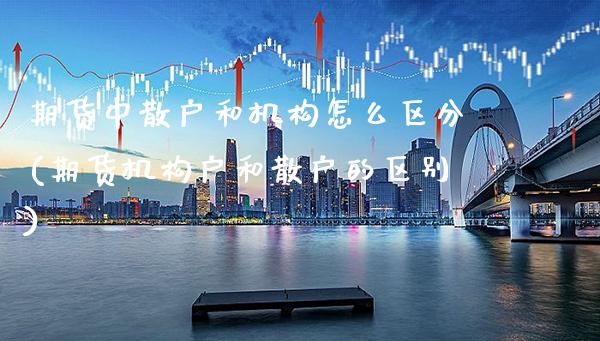 期货中散户和机构怎么区分(期货机构户和散户的区别)_https://www.boyangwujin.com_期货直播间_第1张