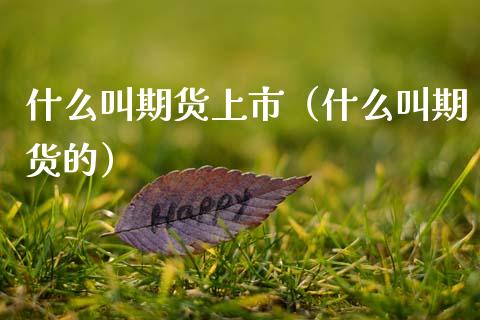 什么叫期货上市（什么叫期货的）