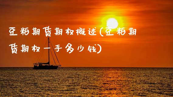 豆粕期货期权概述(豆粕期货期权一手多少钱)_https://www.boyangwujin.com_期货直播间_第1张