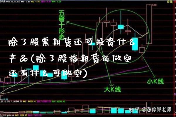 除了股票期货还可投资什么产品(除了股指期货能做空还有什么可做空)_https://www.boyangwujin.com_白银期货_第1张