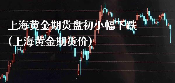 上海黄金期货盘初小幅下跌(上海黄金期货价)_https://www.boyangwujin.com_纳指期货_第1张