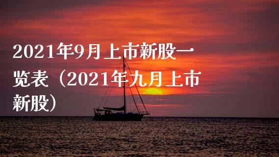 2021年9月上市新股一览表（2021年九月上市新股）_https://www.boyangwujin.com_期货直播间_第1张