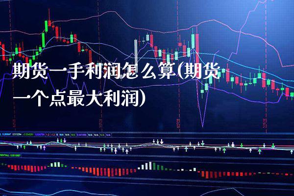 期货一手利润怎么算(期货一个点最大利润)_https://www.boyangwujin.com_期货直播间_第1张