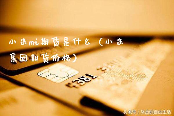 小米mi期货是什么（小米集团期货价格）