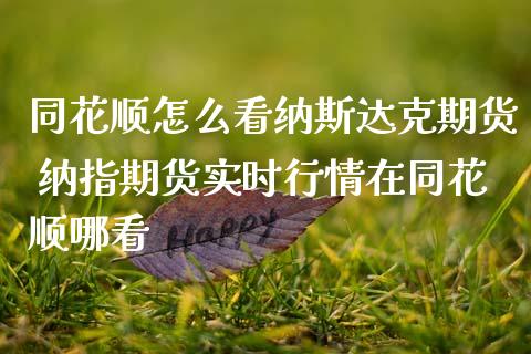 同花顺怎么看纳斯达克期货 纳指期货实时行情在同花顺哪看
