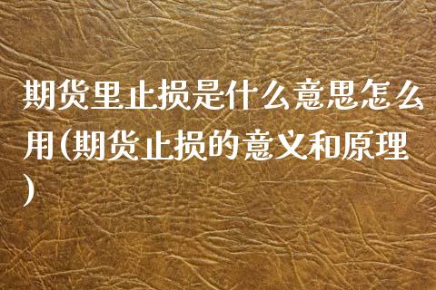 期货里止损是什么意思怎么用(期货止损的意义和原理)_https://www.boyangwujin.com_纳指期货_第1张