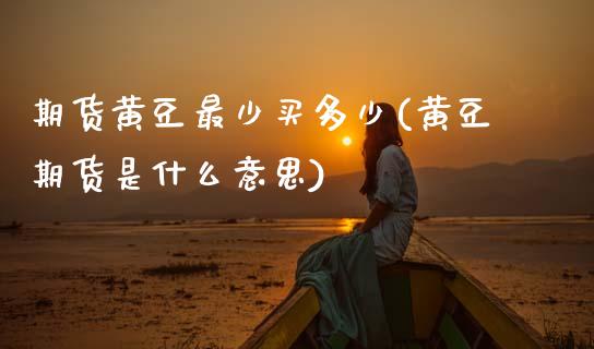 期货黄豆最少买多少(黄豆期货是什么意思)_https://www.boyangwujin.com_内盘期货_第1张