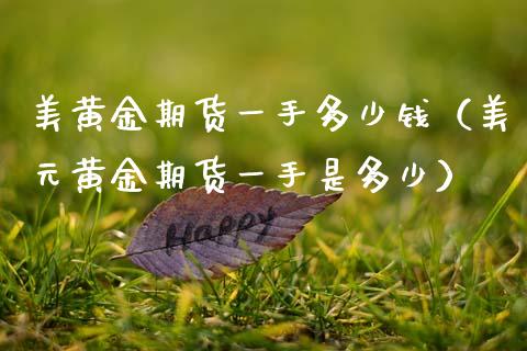 美黄金期货一手多少钱（美元黄金期货一手是多少）_https://www.boyangwujin.com_黄金期货_第1张