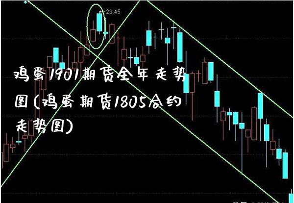 鸡蛋1901期货全年走势图(鸡蛋期货1805合约走势图)_https://www.boyangwujin.com_期货直播间_第1张