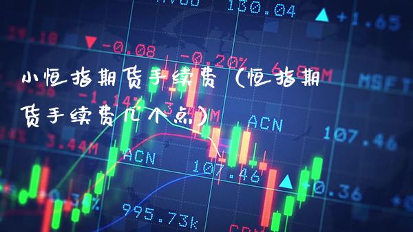 小恒指期货手续费（恒指期货手续费几个点）_https://www.boyangwujin.com_期货直播间_第1张