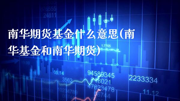 南华期货基金什么意思(南华基金和南华期货)_https://www.boyangwujin.com_期货直播间_第1张