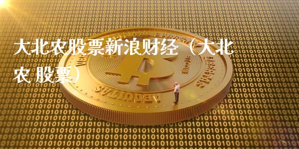 大北农股票新浪财经（大北农 股票）_https://www.boyangwujin.com_纳指期货_第1张