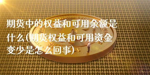 期货中的权益和可用余额是什么(期货权益和可用资金变少是怎么回事)