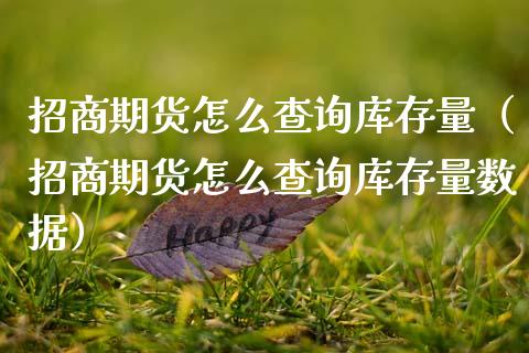 招商期货怎么查询库存量（招商期货怎么查询库存量数据）