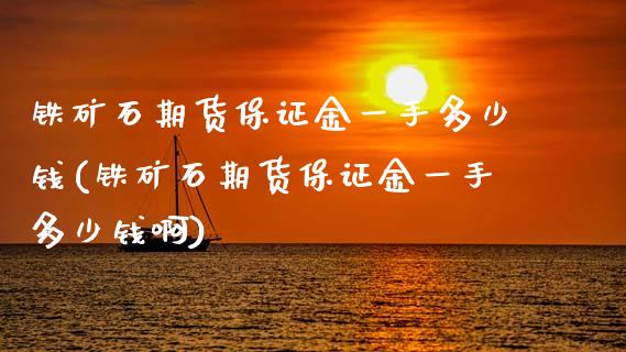 铁矿石期货保证金一手多少钱(铁矿石期货保证金一手多少钱啊)_https://www.boyangwujin.com_期货直播间_第1张