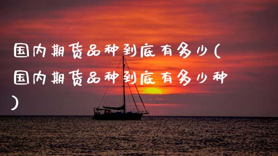 国内期货品种到底有多少(国内期货品种到底有多少种)_https://www.boyangwujin.com_道指期货_第1张