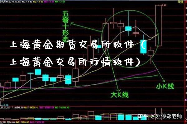上海黄金期货交易所软件（上海黄金交易所行情软件）