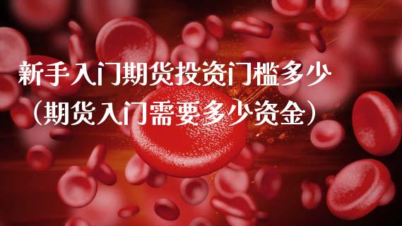 新手入门期货投资门槛多少（期货入门需要多少资金）_https://www.boyangwujin.com_道指期货_第1张